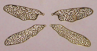 Small Dragonfly Wings Filigree (1 set)