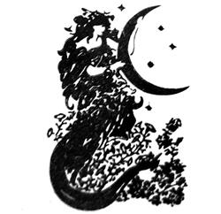 Peel-N-Etch Moon Maiden Stencil