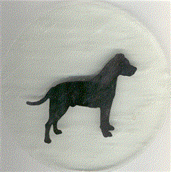 Fairly Ordinary Dog Clear Glass Medallion