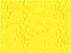 Wissmach Yellow Flemish (31 Flemish)