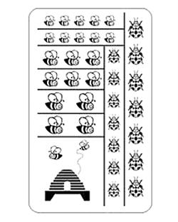 Rub 'N' Etch Bugs