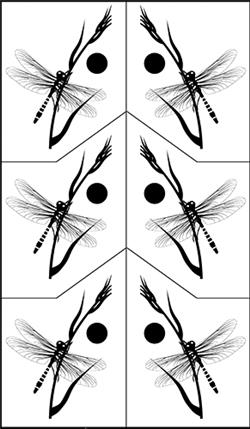 Rub 'N' Etch Dragonfly on Grass