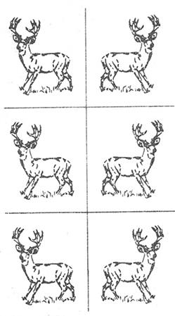 Rub 'N' Etch Bucks