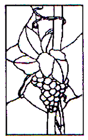 W-D Grapevine Stained Glass Window Pattern