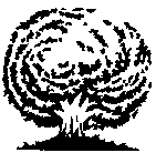 Peel 'N' Etch Circular Tree