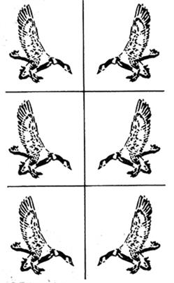 Rub 'N' Etch Flying Goose Stencils